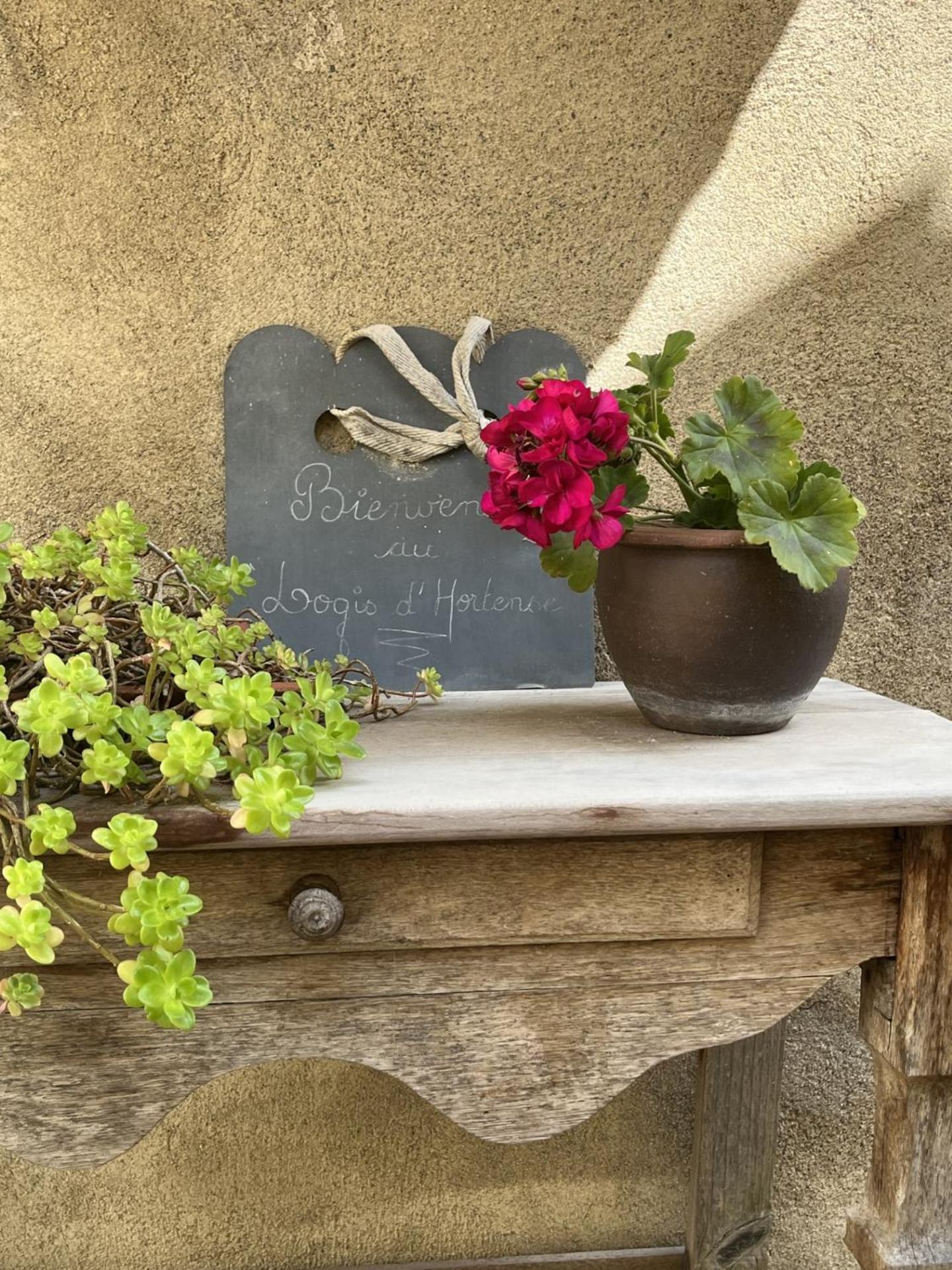 Le Logis D'Hortense Vic-le-Comte エクステリア 写真