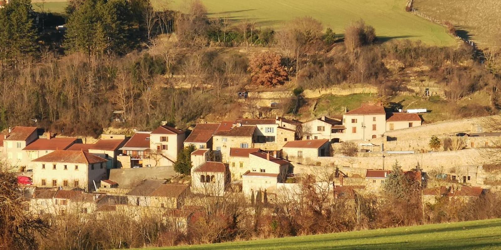 Le Logis D'Hortense Vic-le-Comte エクステリア 写真